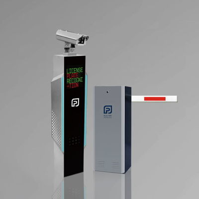 الاسم